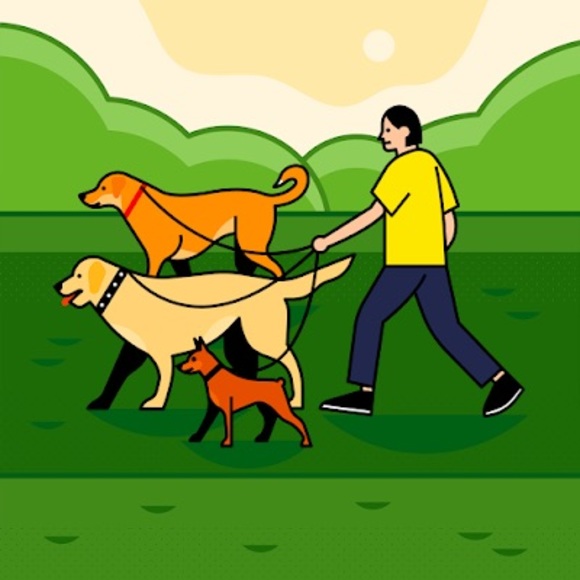 Meet your Posher, Lyndaann - Picture 1 of 1